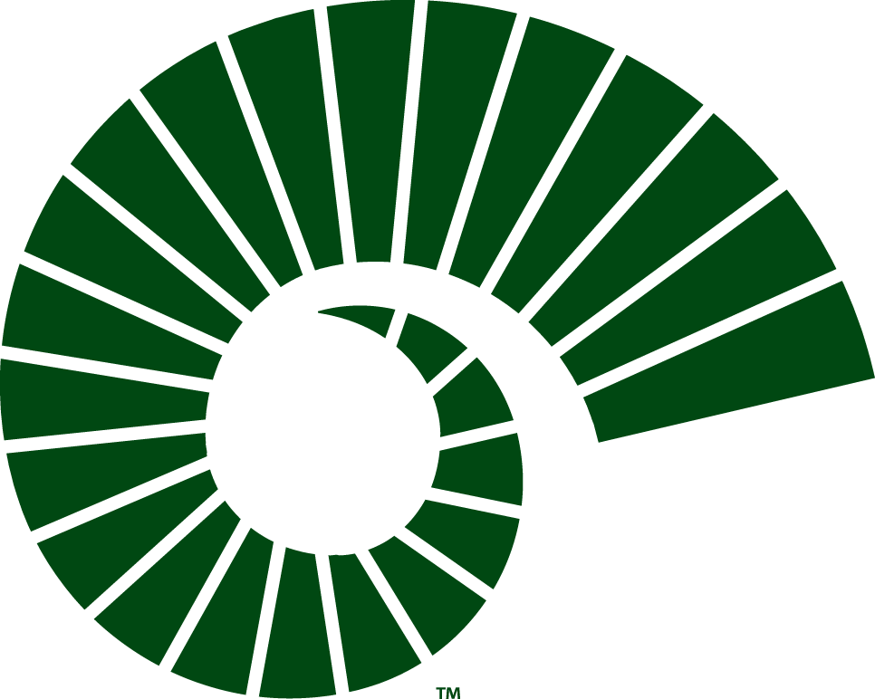 Colorado State Rams 2015-Pres Alternate Logo t shirts DIY iron ons v2